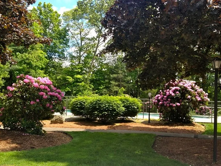 41 Putnam Rd — Photo 9