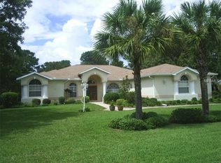 3295 Cilly Ave, Spring Hill, FL 34609