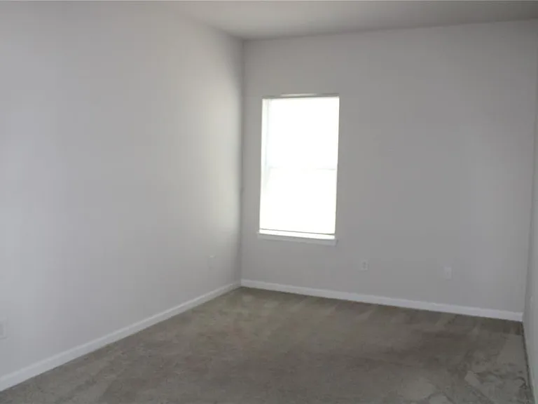 18337 Falling Pine Needle Ln — Photo 9