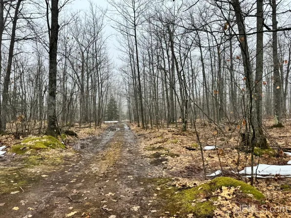 280 Acres Off, Lanse, MI 49946