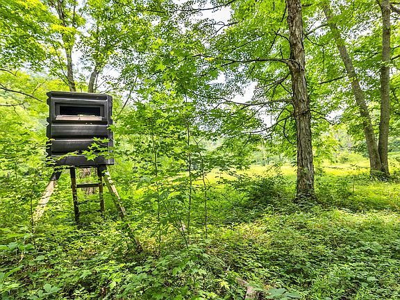 30th image of this home