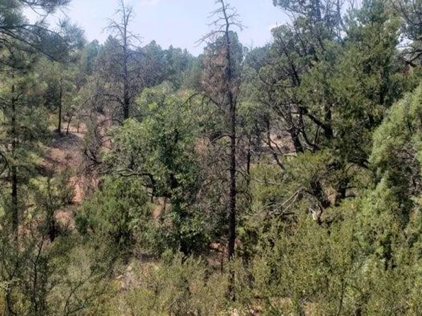 6373 Cedar Crst, Show Low, AZ 85901
