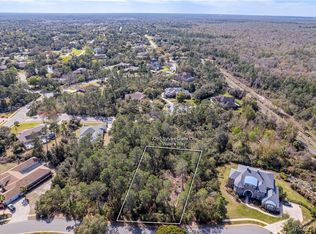0 Sylvan Glade Ct, Weeki Wachee, FL 34607