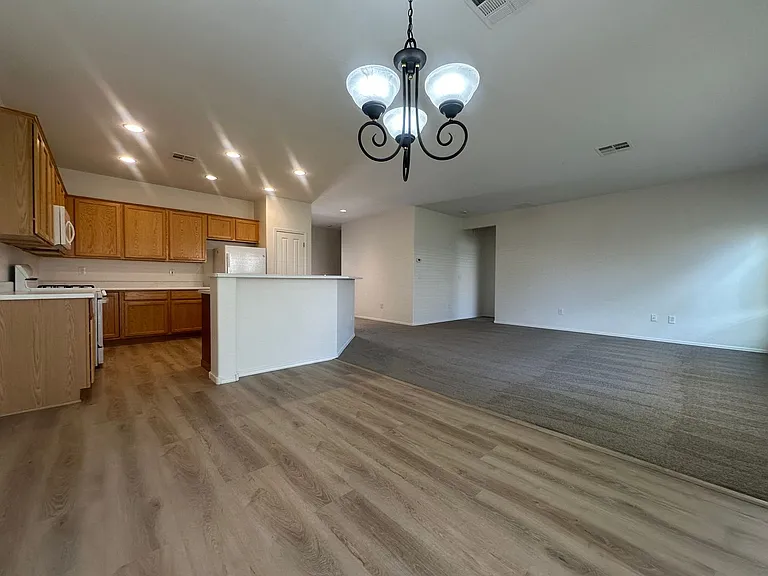 3615 Herring Gull Ln — Photo 6