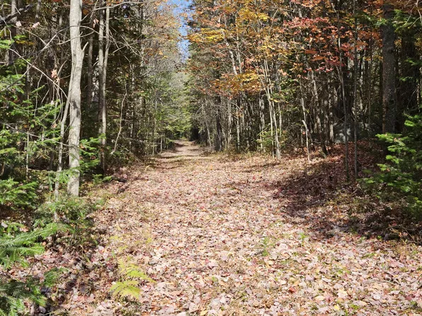 LOT 25 County Route 60, Vermontville, NY 12989