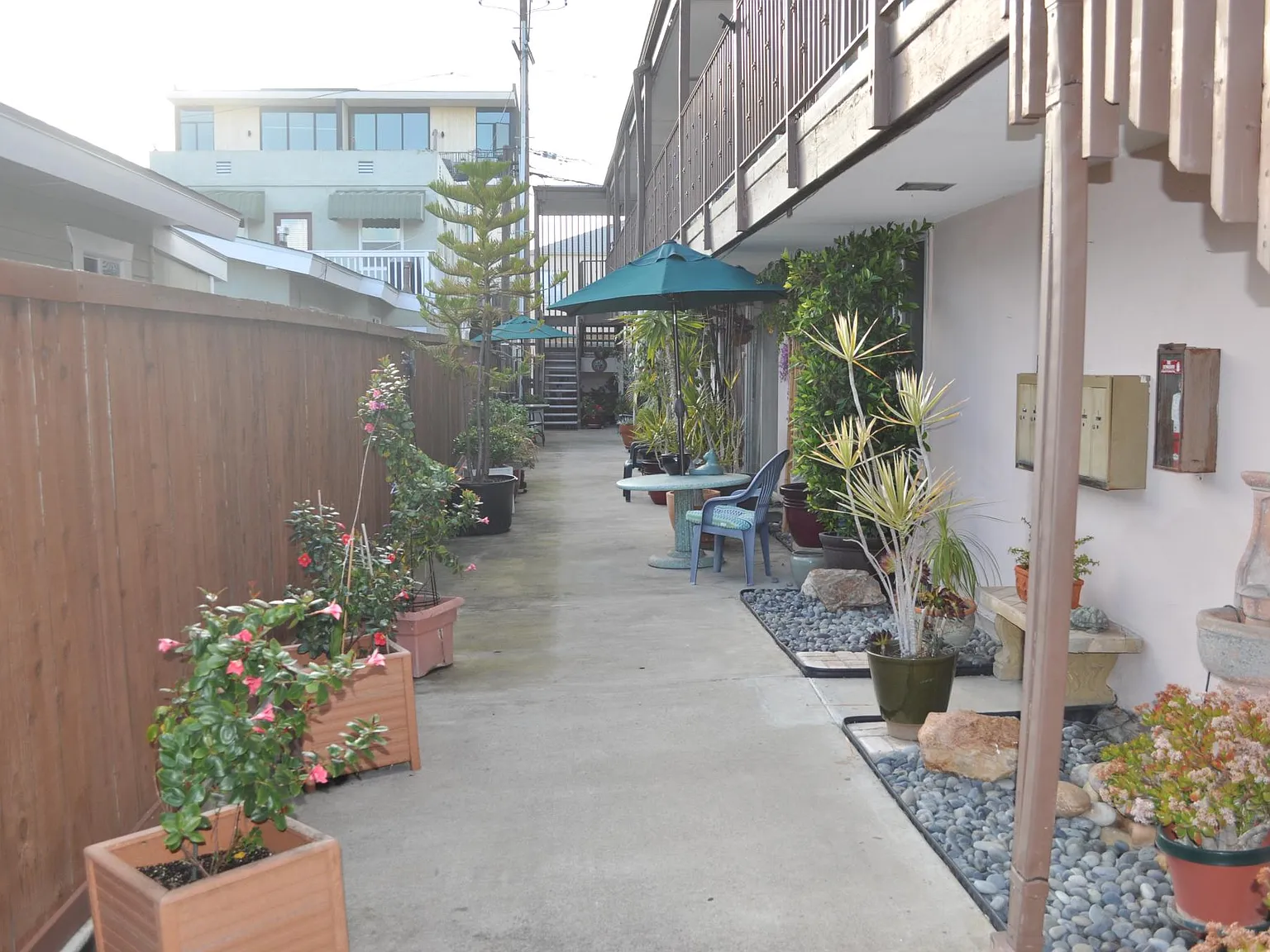 2 bed, 810 sqft, $2,495 — Photo 3