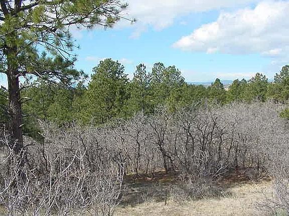 Wonderfully Treed Lot
