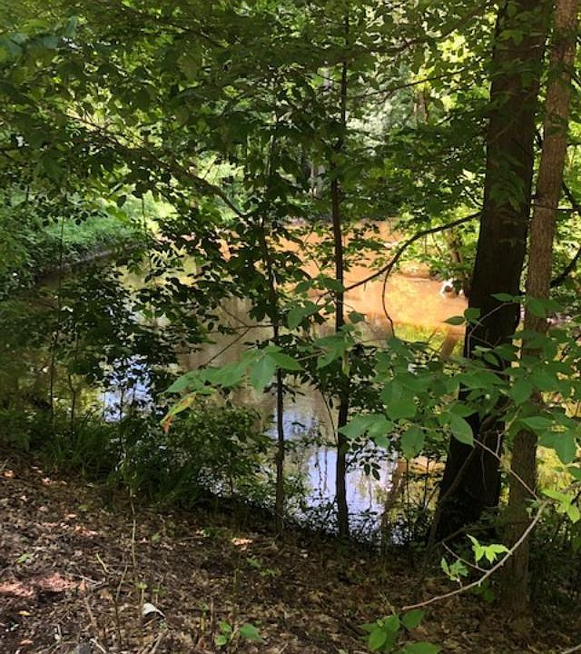 2nd image of 16975 River Bluff Dr