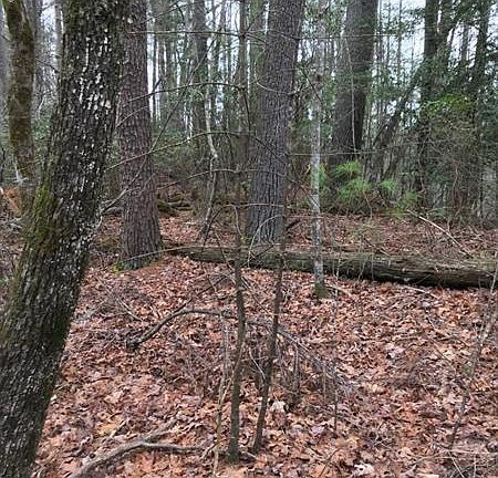 5th image of 0 Etowah Trl