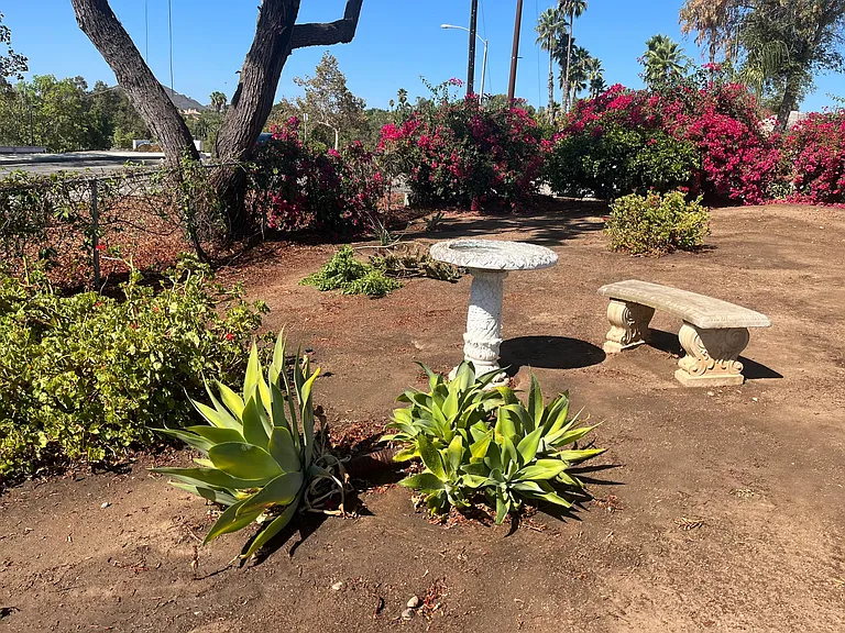 3130 Las Palmas Ave — Photo 13