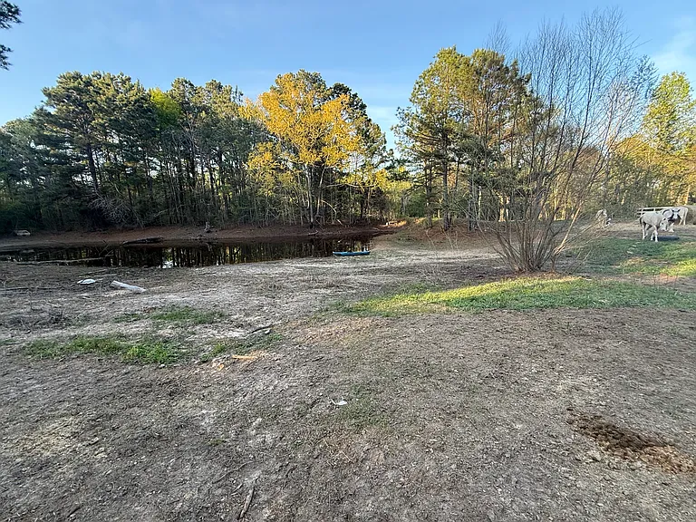 2850 County Road 233D — Photo 24