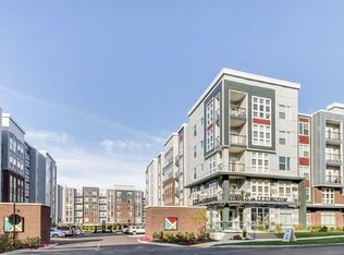 Axis on Lexington, Louisville, KY 40206