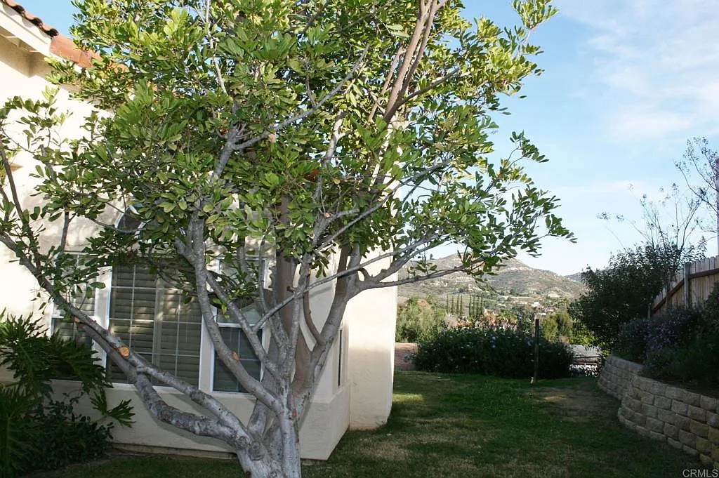 4 bed, 1936 sqft, $4,200 — Photo 3
