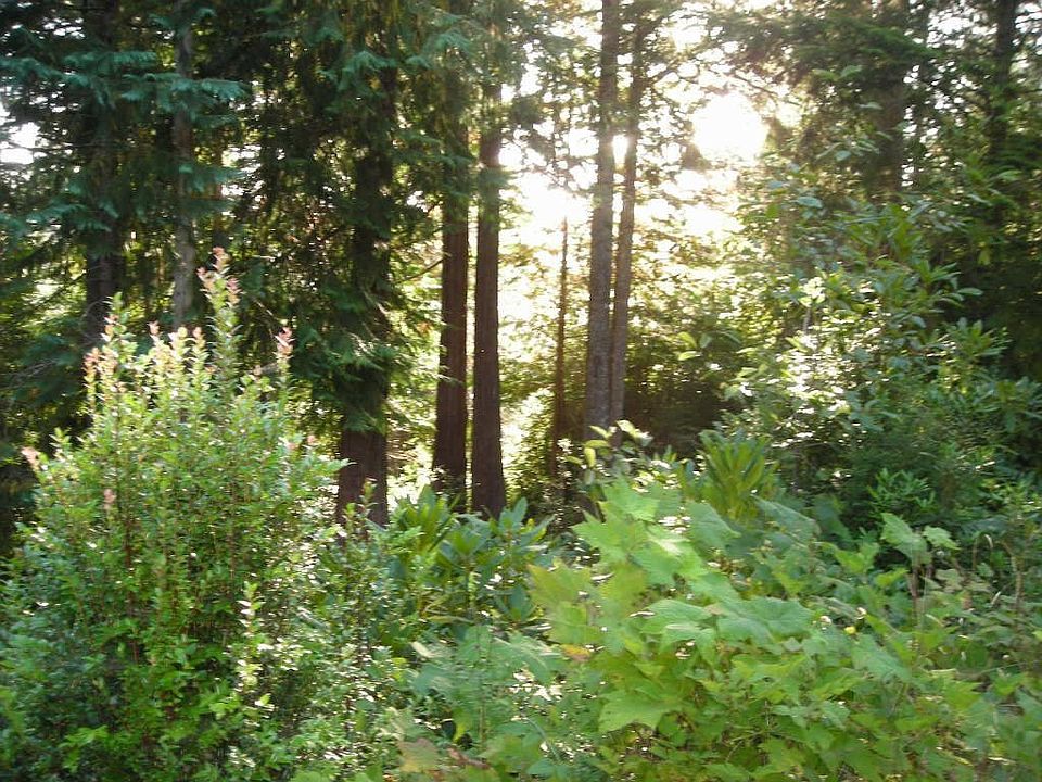 water view beyond trees