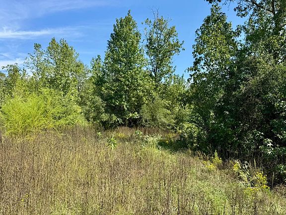 3rd image of TRACT 5 Private Road 8385