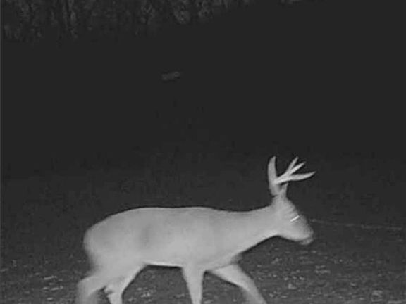 2nd image of 20401 E Bundschu Rd