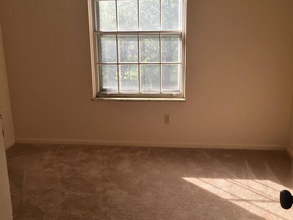 0006_405864053_large