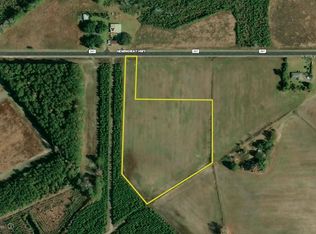 Hemingway Hwy LOT WP001, Hemingway, SC 29554
