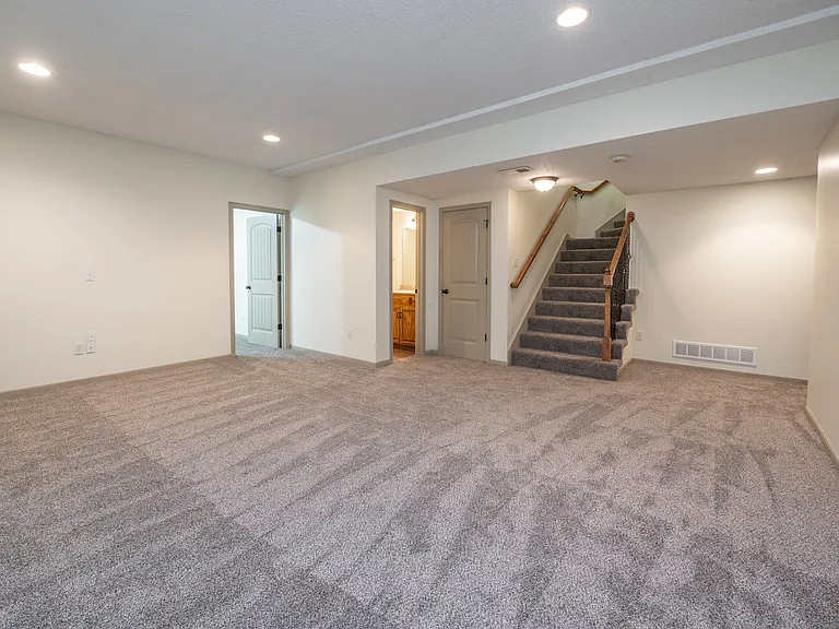 Basements Family room