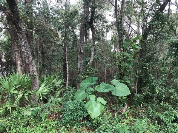 Albia Avenue Lot #13, Sorrento, FL 32776