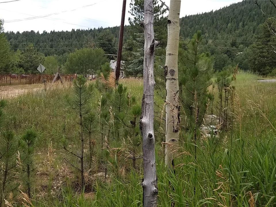 2nd image of 35 Columbine Rd
