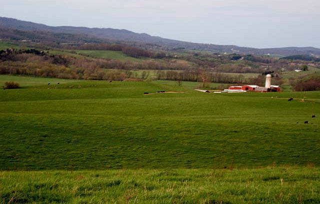 1st image of 205 Kenton Run