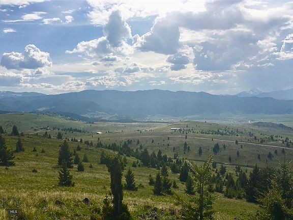 2nd image of Mustang Trl