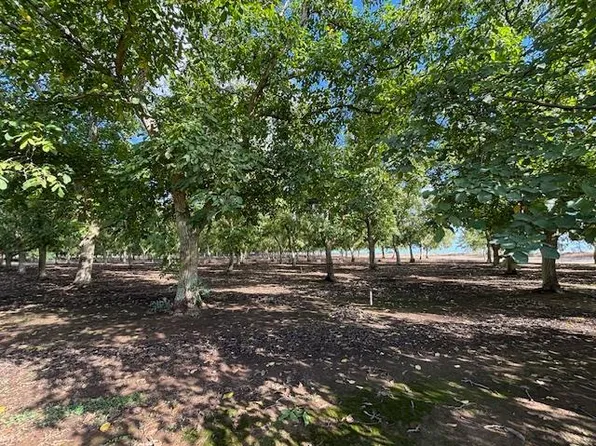 Gallagher Rd, Rio Oso, CA 95674