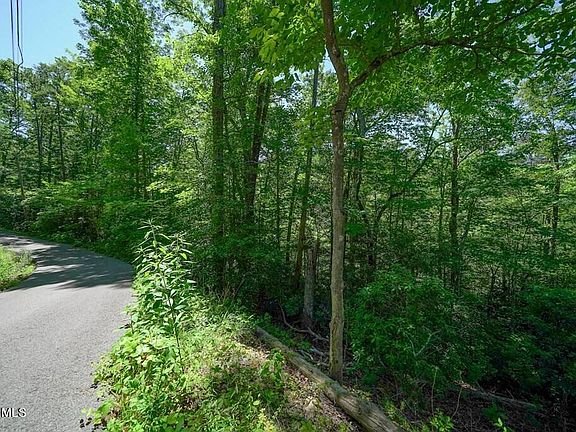 3rd image of LOT 34 Ownby Cir