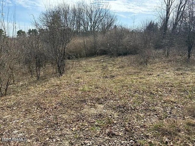 0 Mill River To Great Barrington Rd photo 1