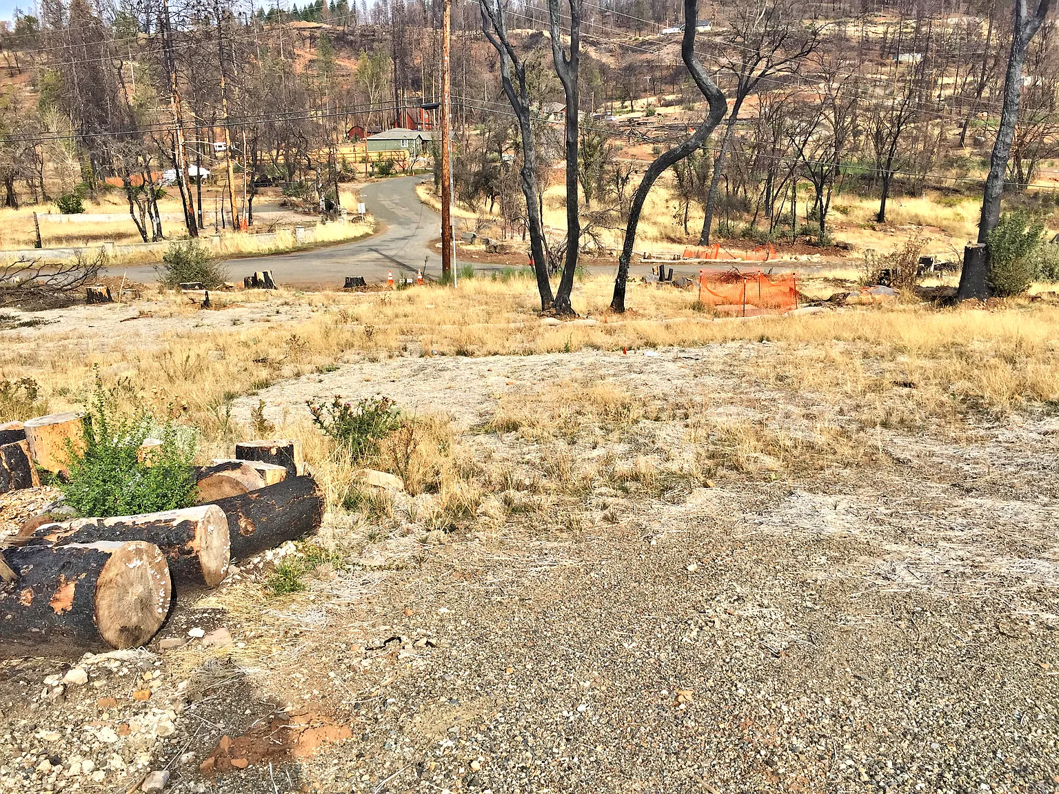 15290 Trinity Rd photo 1