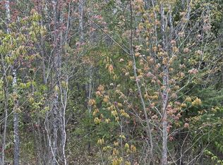 Near Camp Nine Road D #4093, Minocqua, WI 54548