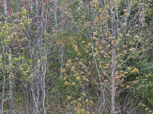 Near Camp Nine Road D #4093, Minocqua, WI 54548