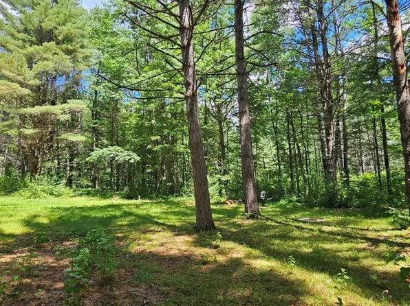 14223 Powell Rd, Manitowish Waters, WI 54545