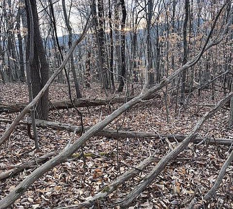 3rd image of 3.31 King Mountain Rd #3.31