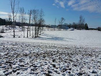 2nd image of 241 Alligator Creek Rd