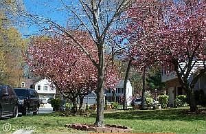 1st image of 740 Mimosa Ct