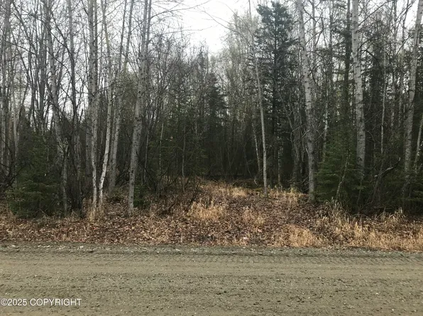 7963 S Lucindas Pl, Wasilla, AK 99623