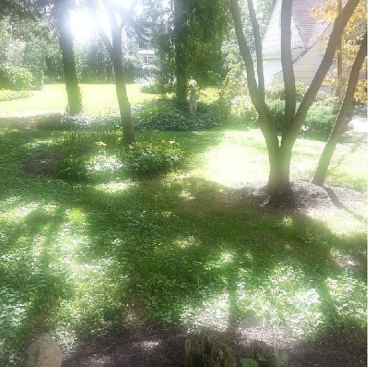 2nd image of 124 Cherry Ave