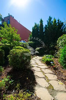 Rented by Red Sparrow Realty Group | media 18