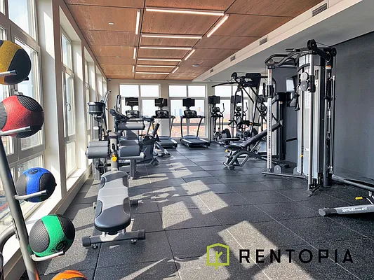 Rented by Rentopia | media 51