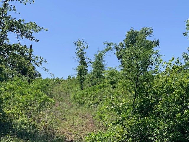 2nd image of 220 County Rd