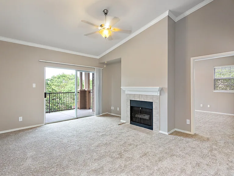 Fireplaces in Some Apartments