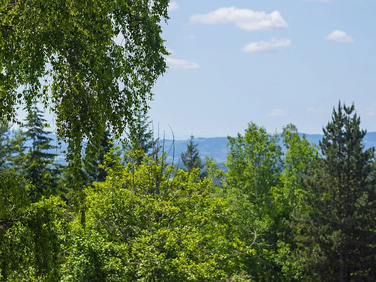 Elevation at Mountain Park — Photo 54