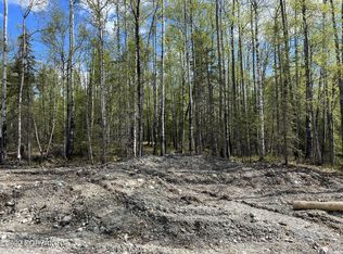 L6-B1 N Baloo Dr, Wasilla, AK 99654