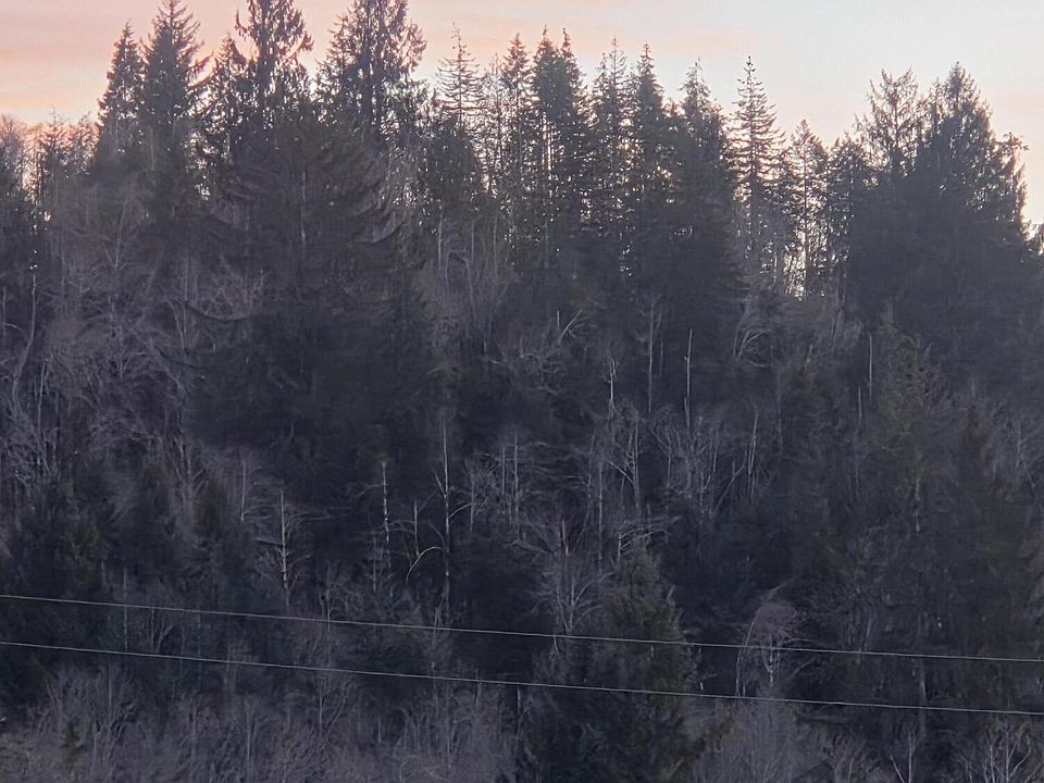 2nd image of LOT 1100 Mattson Rd