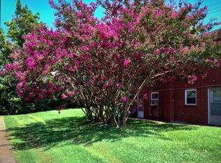 1313 Carroll Creek Rd #B, Johnson City, TN 37615