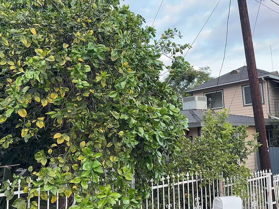 1st image of 8538 Duarte Rd