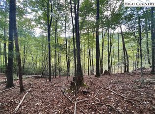 Tbd W Laurel Cir, Deep Gap, NC 28618