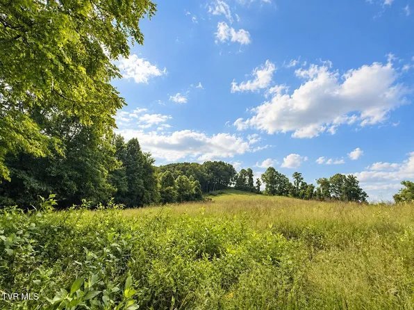 1859 Luray Rd, Gate City, VA 24251